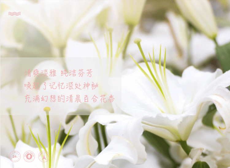 POACHERMAN 柏世曼臻选香水-百合 30ml