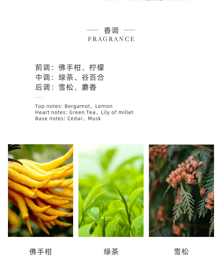 POACHERMAN 柏世曼臻选香水-绿茶 30ml