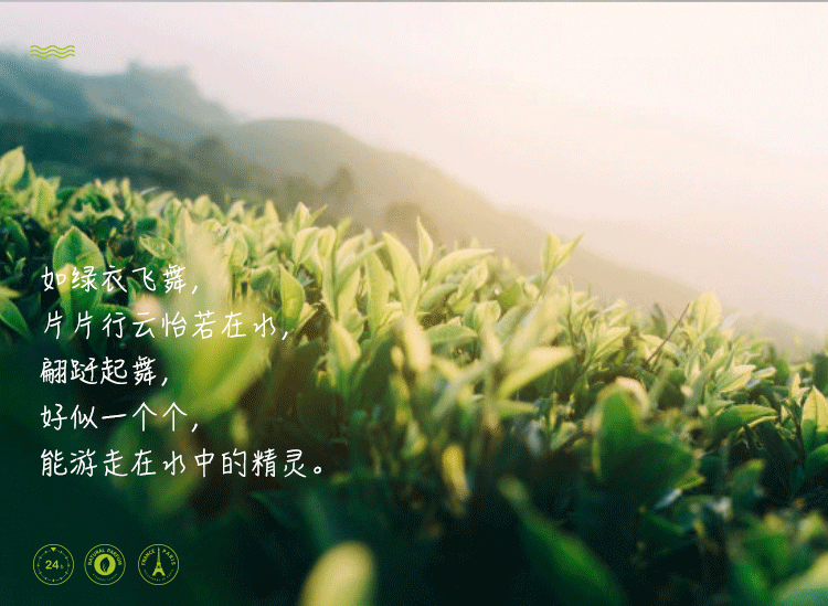 POACHERMAN 柏世曼臻选香水-银针茶 30ml
