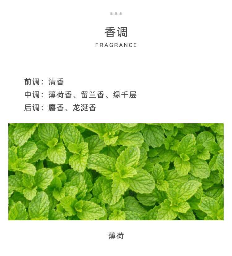 POACHERMAN 柏世曼臻选香水-薄荷 30ml