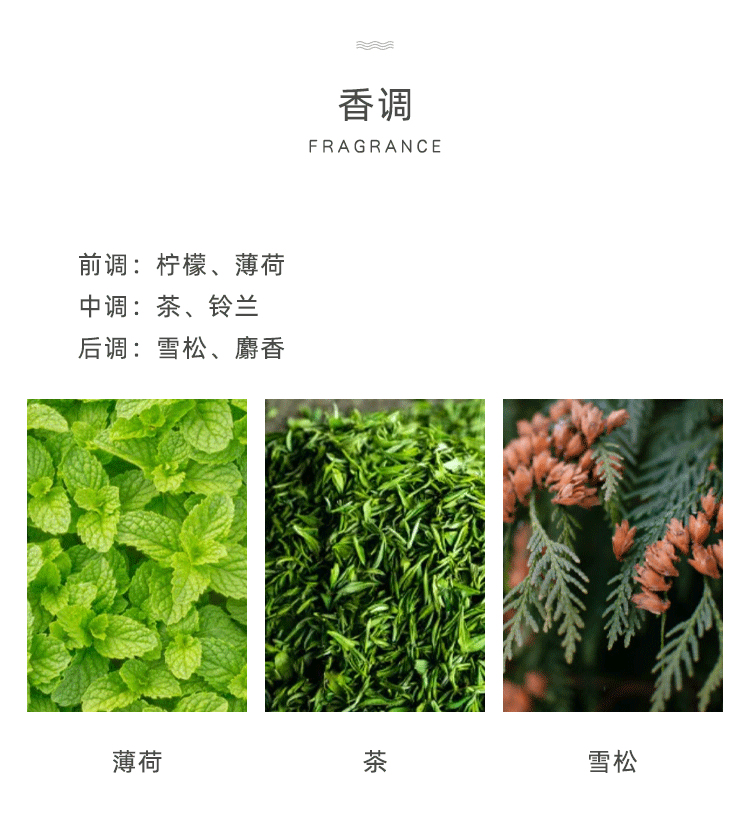 POACHERMAN 柏世曼臻选香水-薄荷茶 30ml