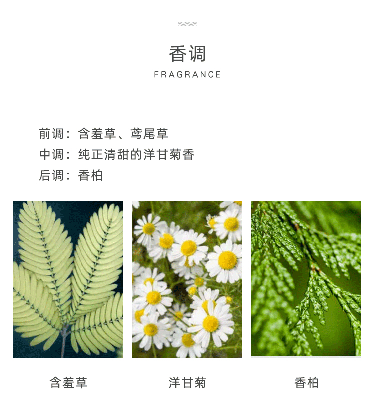 POACHERMAN 柏世曼臻选香水-洋甘菊 30ml