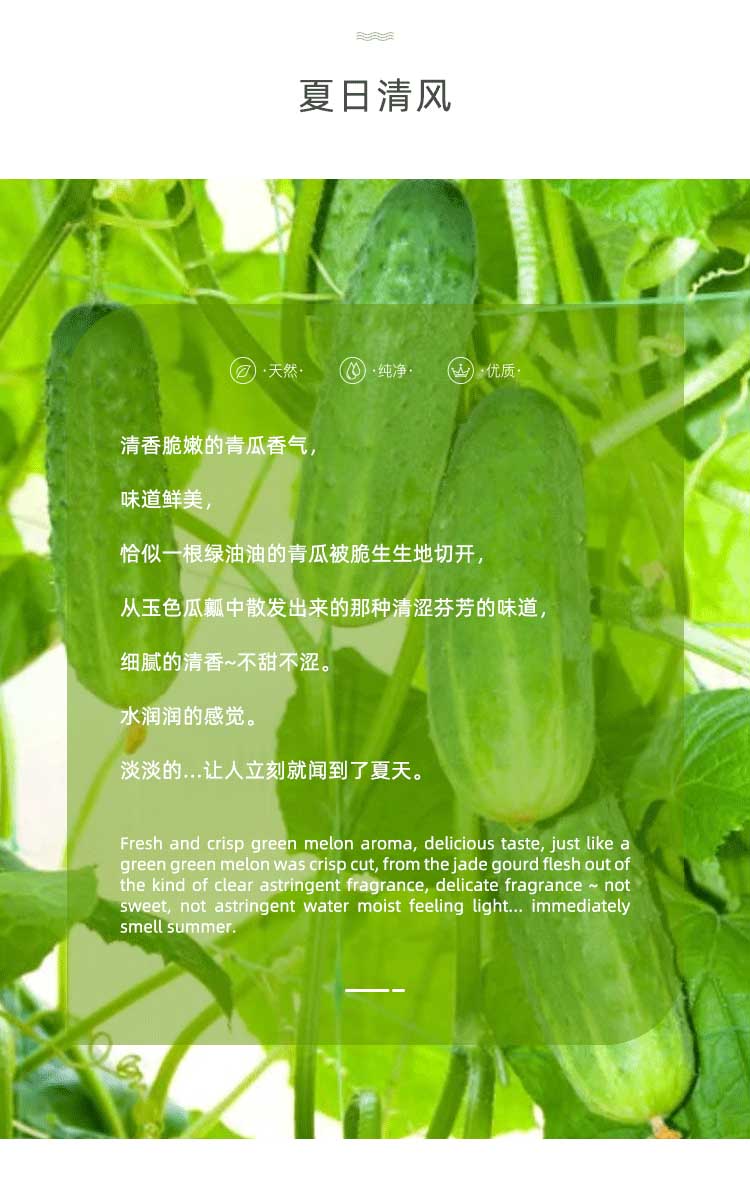 POACHERMAN 柏世曼臻选香水-小青瓜 30ml