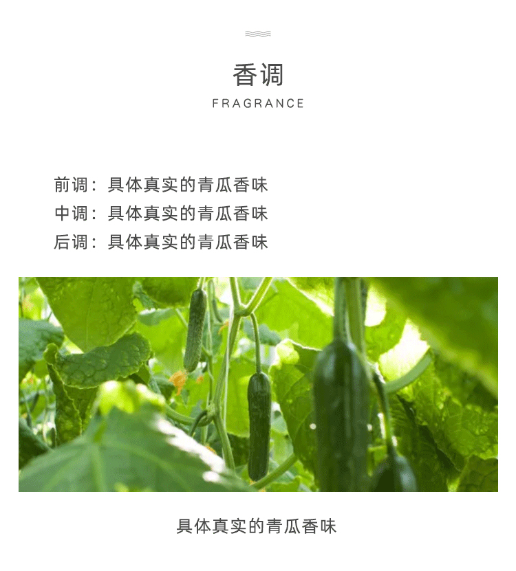 POACHERMAN 柏世曼臻选香水-小青瓜 30ml