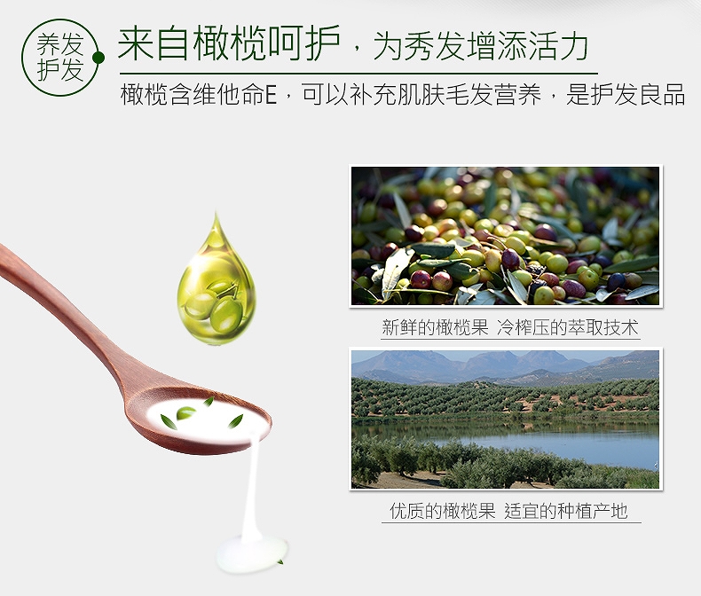 CO.E 韩伊橄榄动感弹力素 260ml