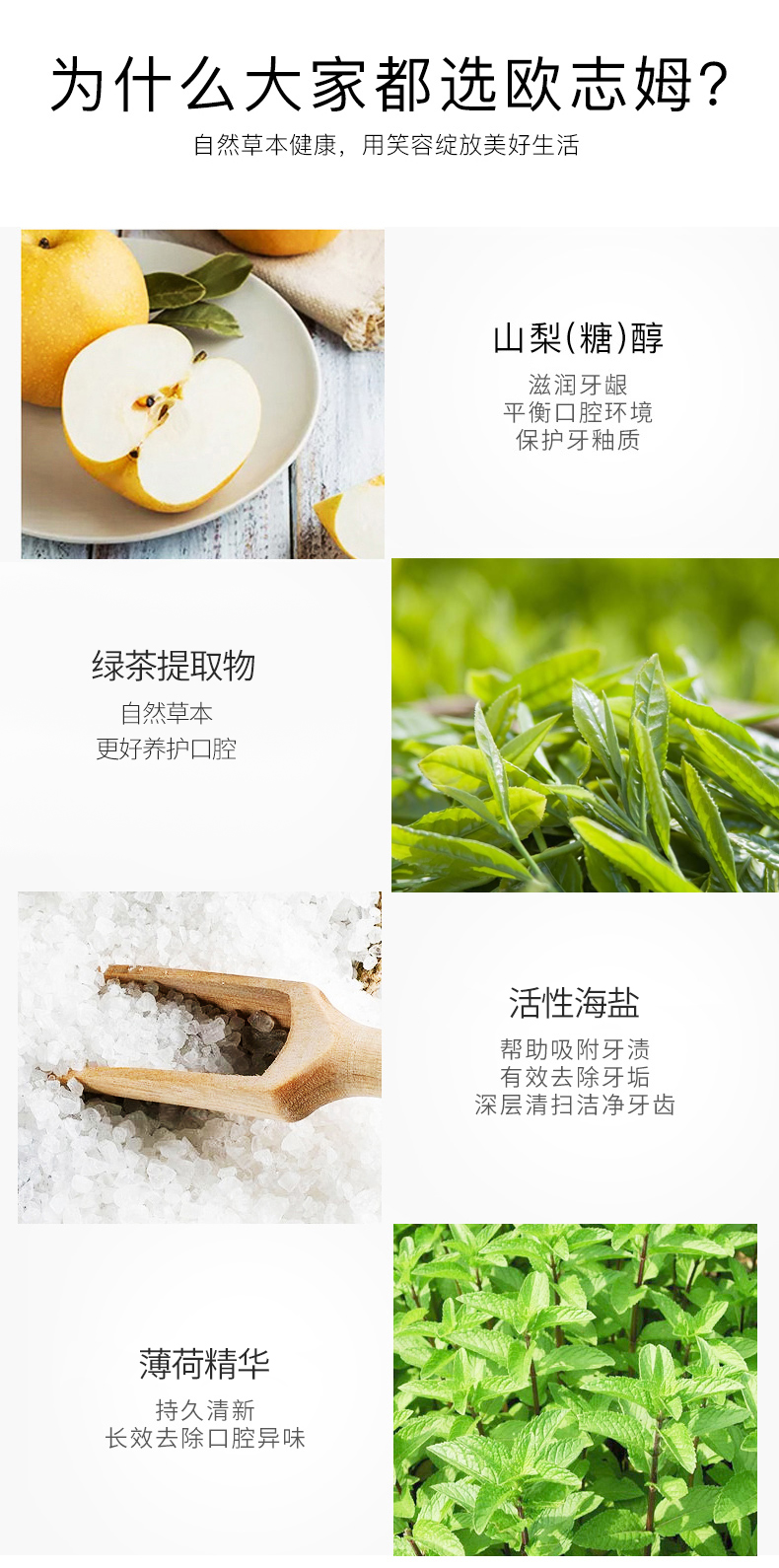O-ZONE 欧志姆清新薄荷牙膏 205g