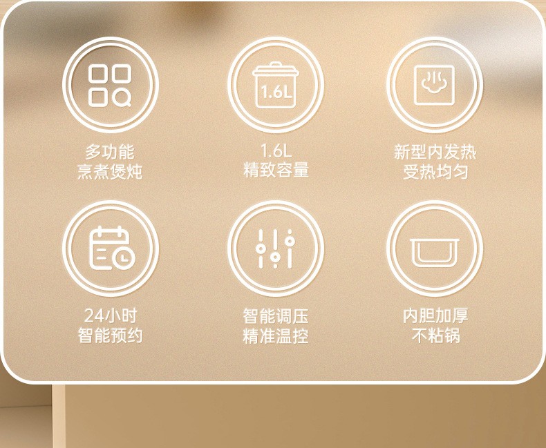 Litfish 丽特斐迷你电饭煲 CQ-15