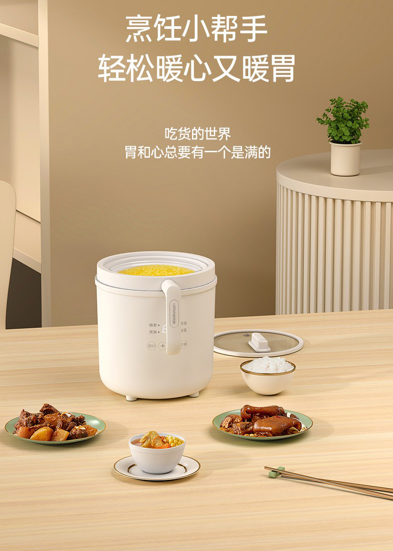 Litfish 丽特斐迷你电饭煲 CQ-15