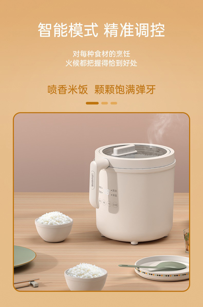 Litfish 丽特斐迷你电饭煲 CQ-15