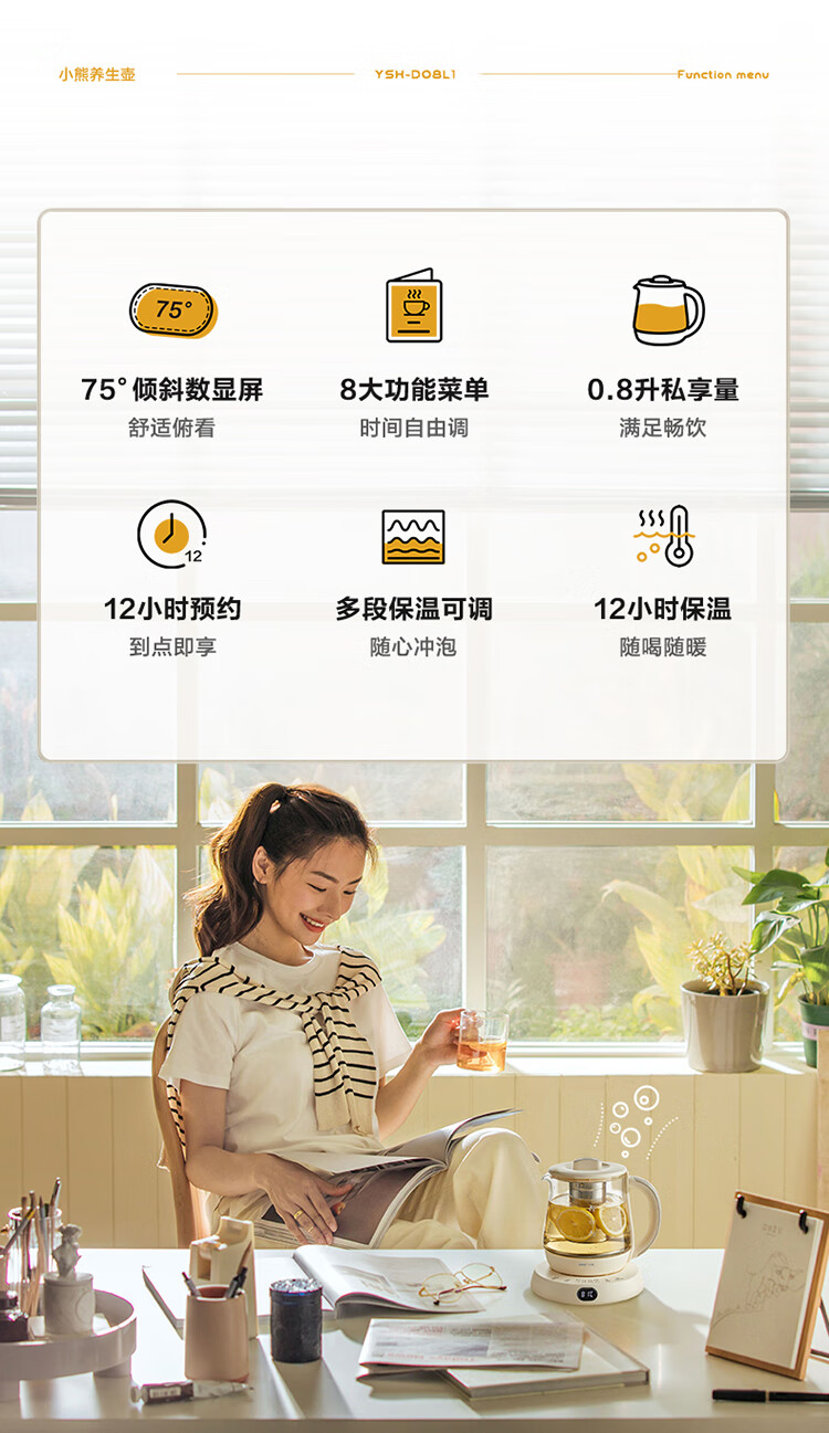 Bear 小熊迷你养生壶 0.8L