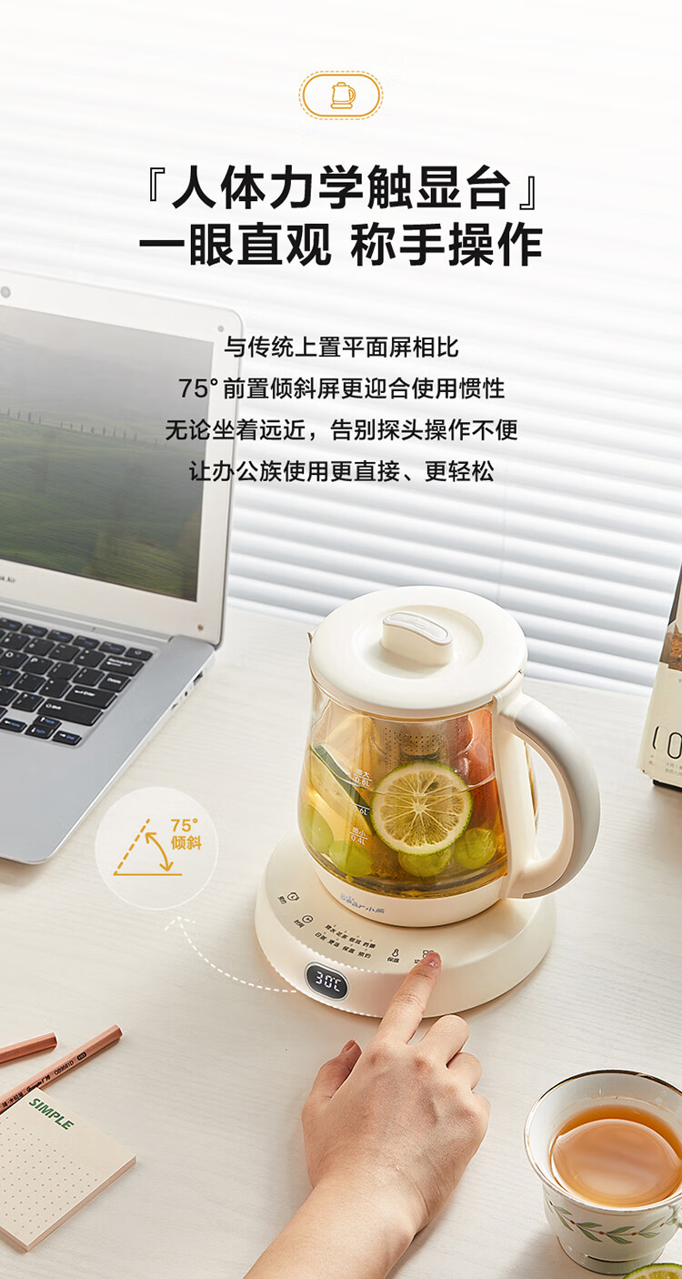 Bear 小熊迷你养生壶 0.8L