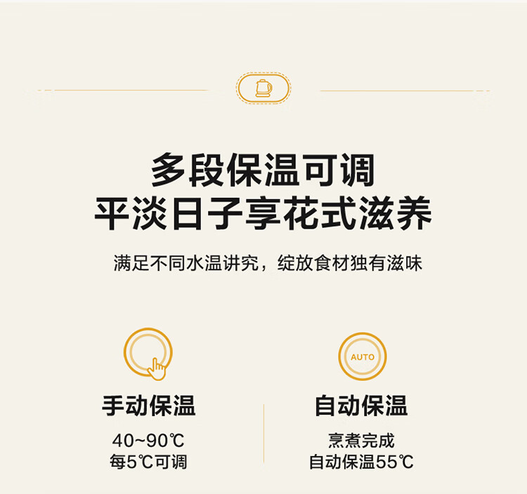 Bear 小熊迷你养生壶 0.8L