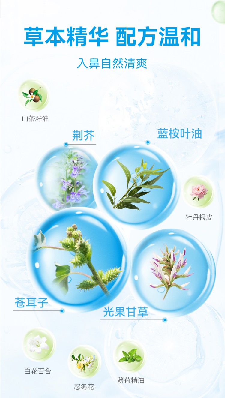 BEGGI 鼻精灵苍耳子鼻舒精油棉棒型 36支