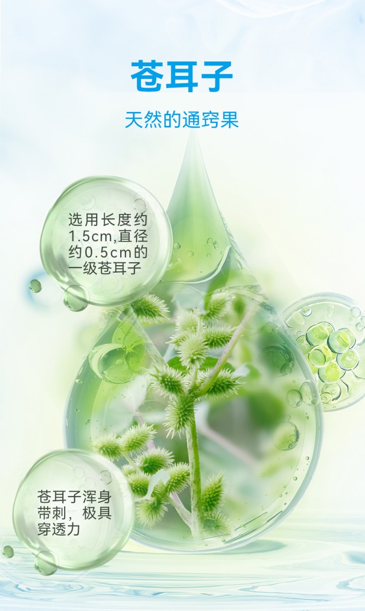 BEGGI 鼻精灵苍耳子鼻舒精油棉棒型 36支