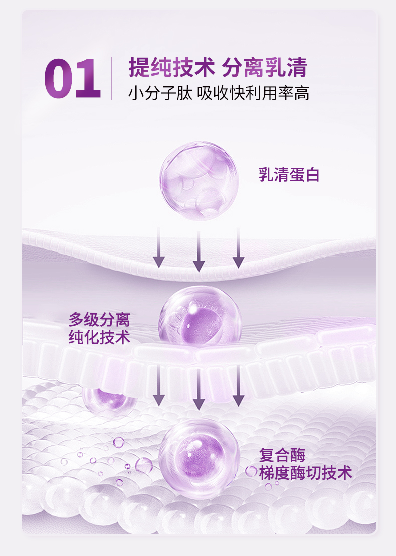 AU Kingcare 澳洲珍澳膳奇力TM水解短肽蛋白粉 450g 澳洲本土原版