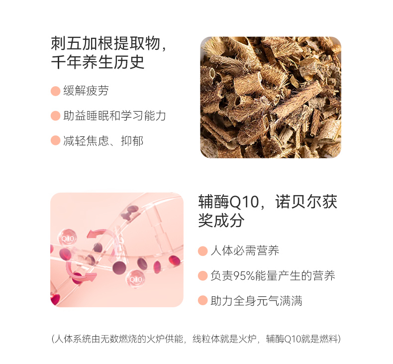 Me today 新西兰花颜28女性复合维生素胶囊 60粒/瓶