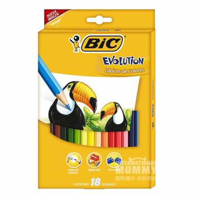 BIC KIDS ȿ˶ͯ޶ζͿѻ18ɫ Ȿԭ