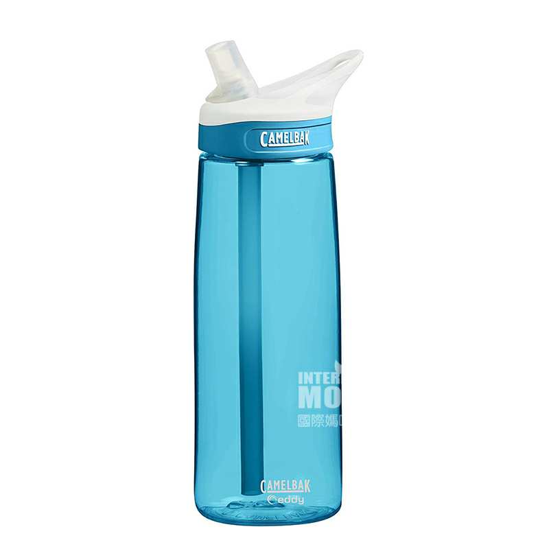 CAMELBAK շ˶Я©ˮ600ML Ȿԭ