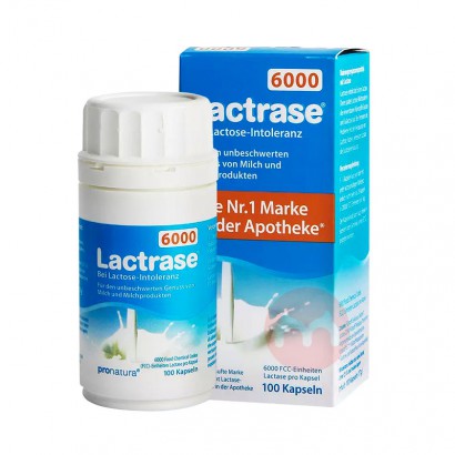 Lactrase ¹Lactraseø6000λ̰ Ȿԭ