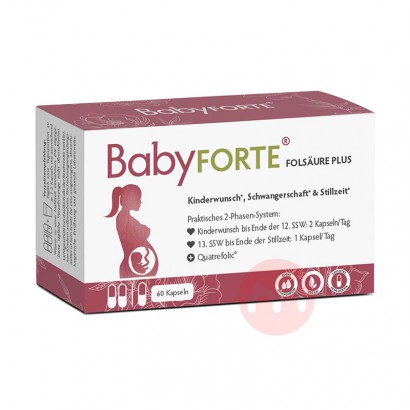 BabyFORTE ¹BabyFORTEάҶὺڲ60 Ȿԭ