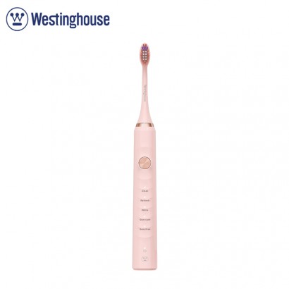 Westinghouse ݳ˵綯ˢWT502Sӣ