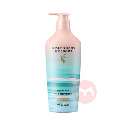 FEIXIAOZHU Сȥмϴˮ 500ml