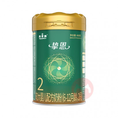 ֿ̫Ӥ׶̷2 400g 6-12