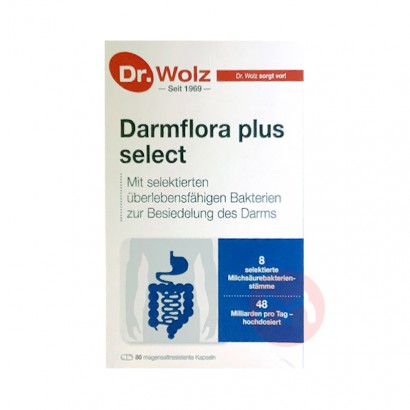 Dr.Wolz ¹Ȳʿθ80 Ȿԭ