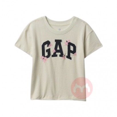 GAP 豱ӣT Ȿԭ
