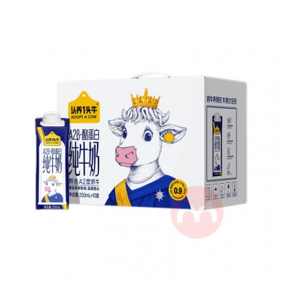 һͷţλøA2ţ 250ml*10*1
