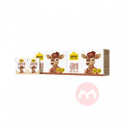 һͷţ4.0״ţ 125ml*10*2