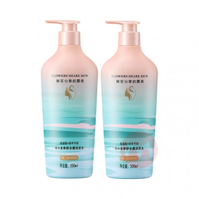 FEIXIAOZHU Сȥмϴˮ 500ml*2ƿ