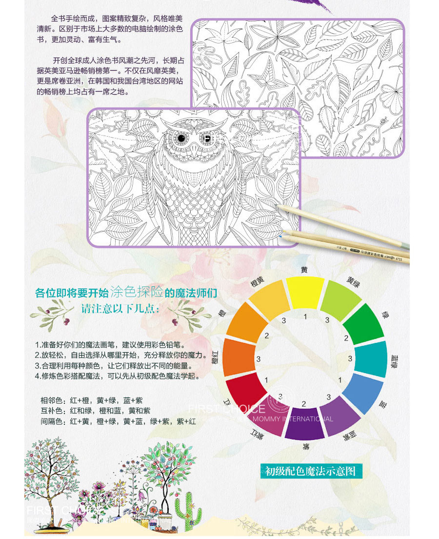 Secret Garden 英国秘密花园手绘填色绘本书英文版 海外本土原版