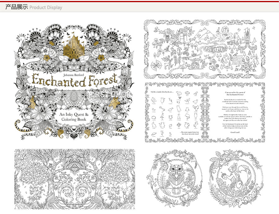 Enchanted Forest 英国魔法森林手绘填色绘本秘密花园续作 海外本土原版