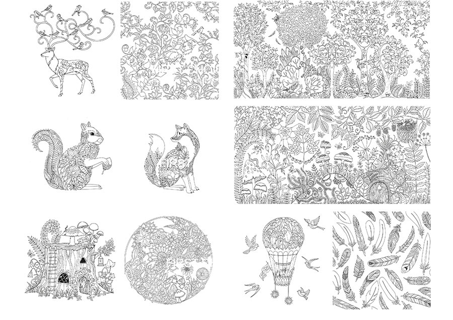 Enchanted Forest 英国魔法森林手绘填色绘本秘密花园续作 海外本土原版
