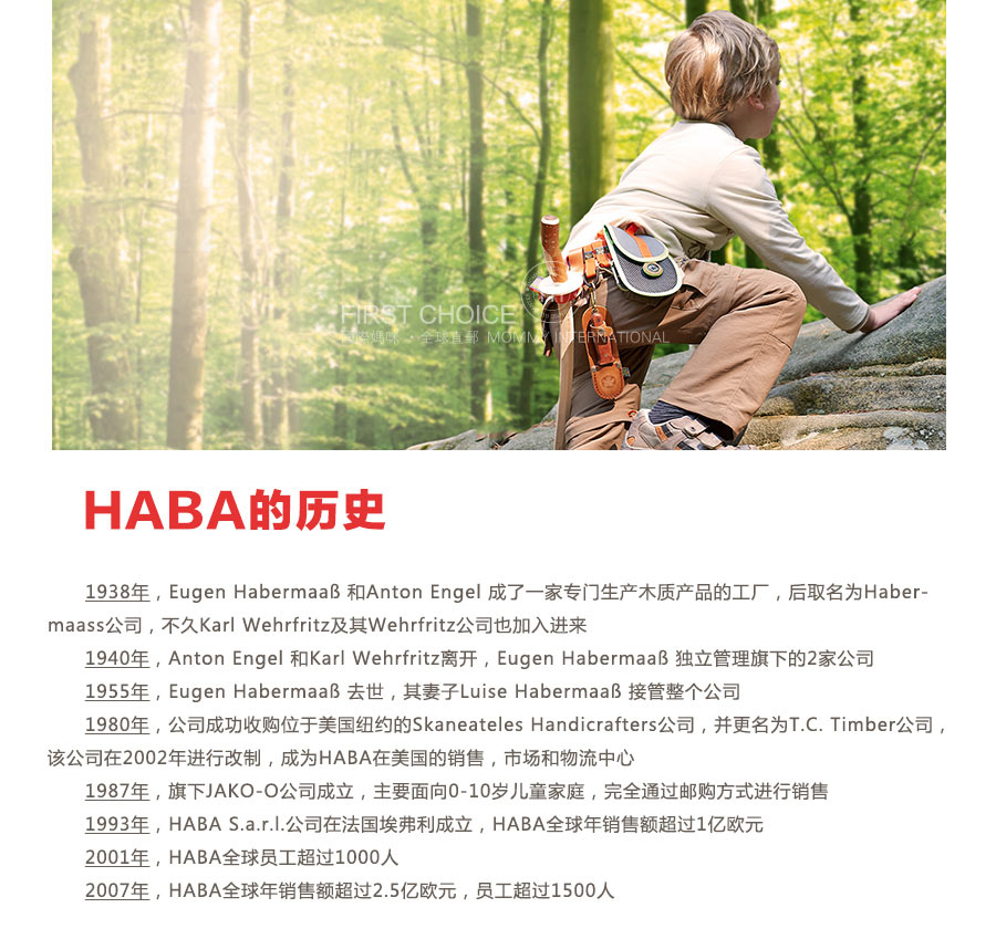 HABA 德国HABA滚珠滑道建筑拼搭积木 海外本土原版
