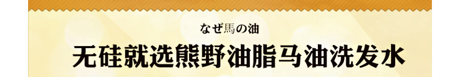 KUMANO 日本熊野油脂马油洗发露 海外本土原版