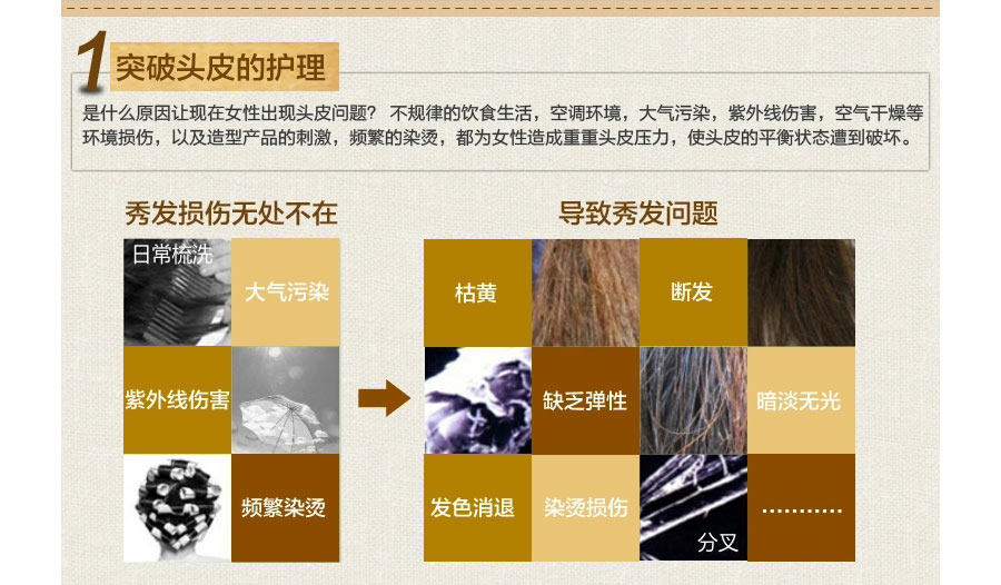 Jacob Hooy 荷兰雅歌布洋甘菊柔顺养护洗发水*2 海外本土原版