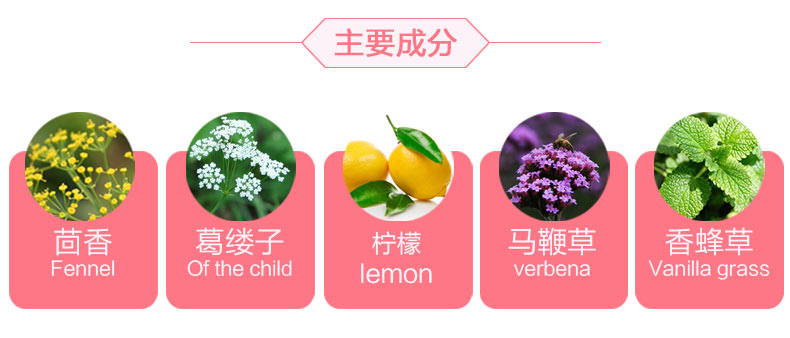 HiPP 德国喜宝妈妈有机催乳茶 海外本土原版