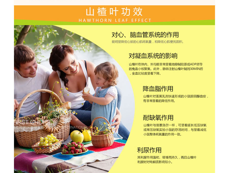Doppelherz 德国双心山楂花植物提取物保护心脏糖衣片 海外本土原版