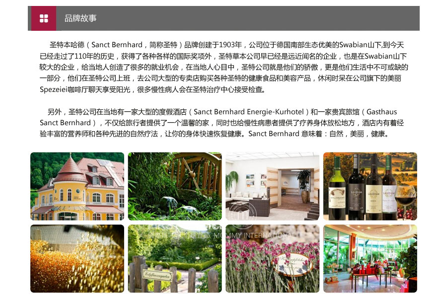 Sanct Bernhard 德国圣伯纳德胡萝卜素蓝莓素叶黄素护眼胶囊 海外本土原版