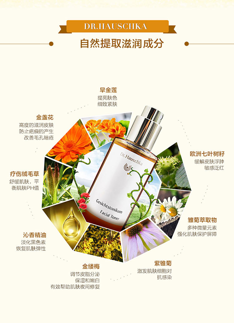 Dr.Hauschka 德国世家律动特殊调理液控油爽肤水 海外本土原版