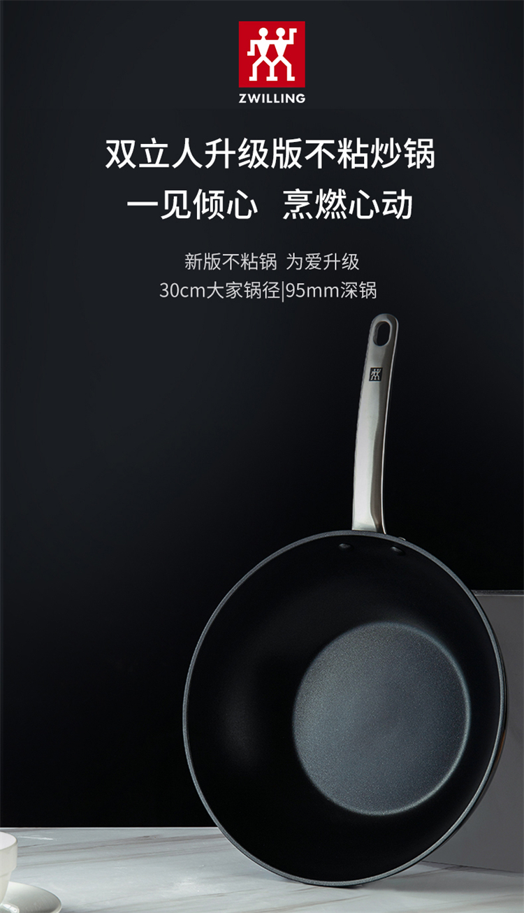 ZWILLING ˫30ײճ