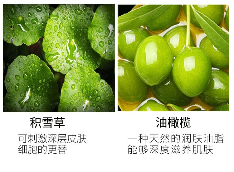 PLANT`ISM ֲţ͹߱ʪ˪1ƿװ 200ml