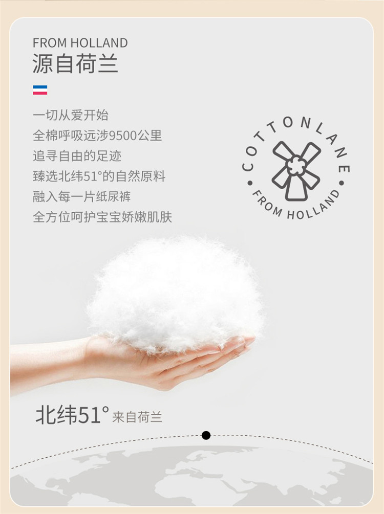COTTONLANE ȫ޺ӤXXXL 36Ƭ