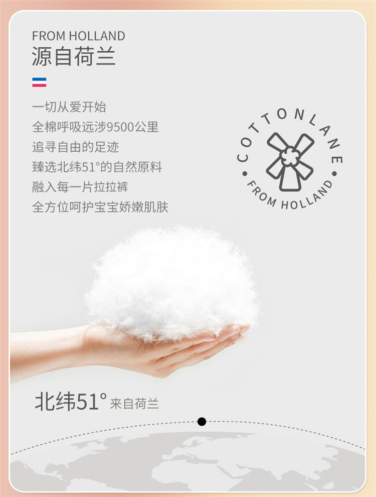 COTTONLANE ȫ޺XXL 36Ƭ