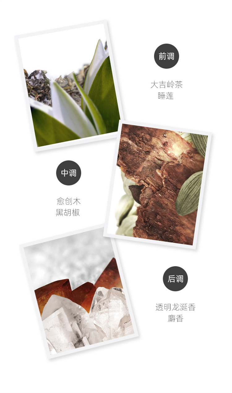 Bvlgari 意大利宝格丽大吉岭茶中性淡香水 100ml 海外本土原版