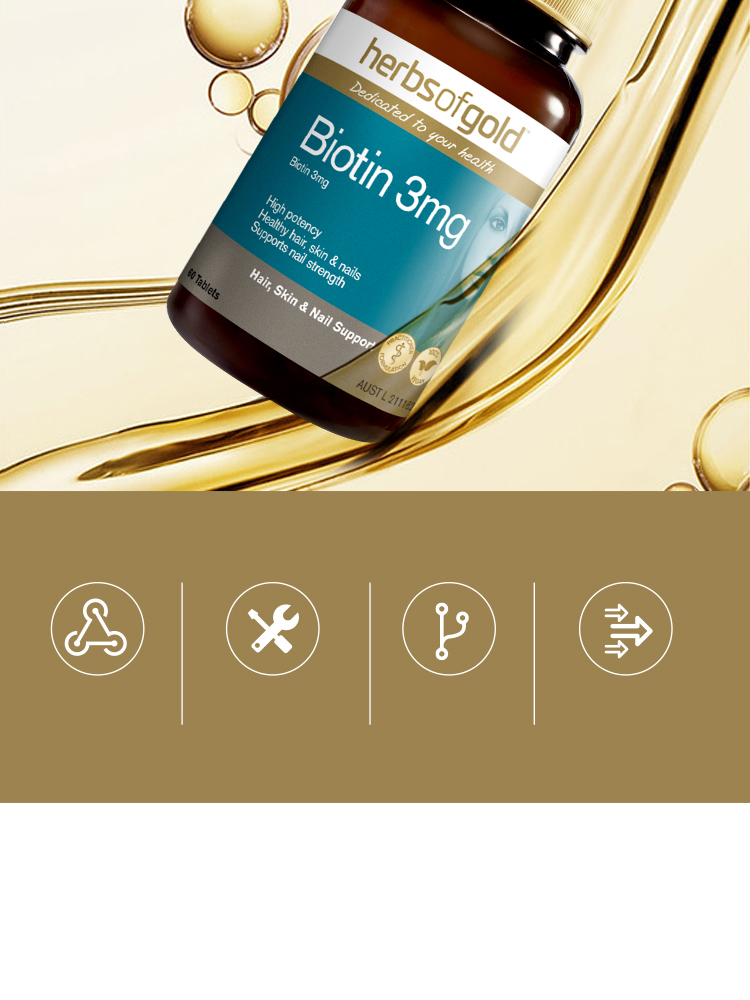 Herbs of gold ޺طѷ 60 Ȿԭ
