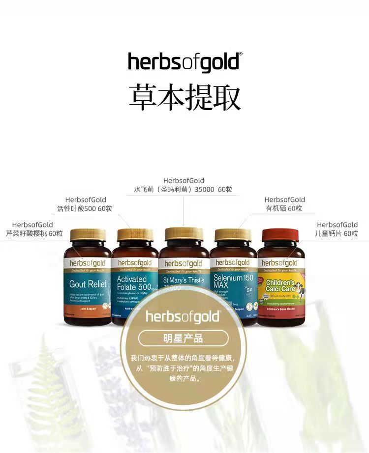 Herbs of gold ޺޸Ƭ 60Ƭ Ȿԭ