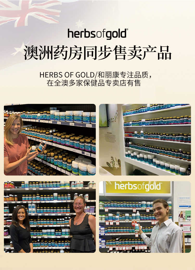 Herbs of gold ޺޸Ƭ 60Ƭ Ȿԭ